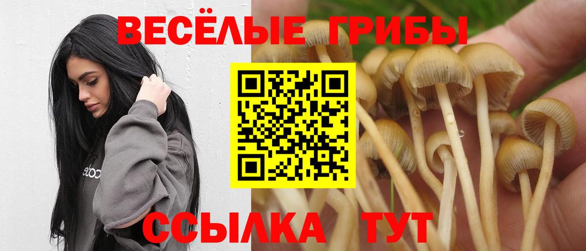 Псилоцибиновые грибы ЛСД  Вход с VPN  Сердобск 