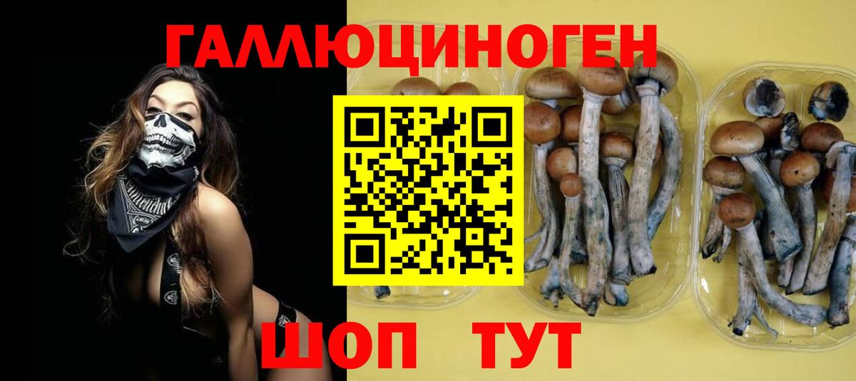 Псилоцибиновые грибы мухоморы Сердобск